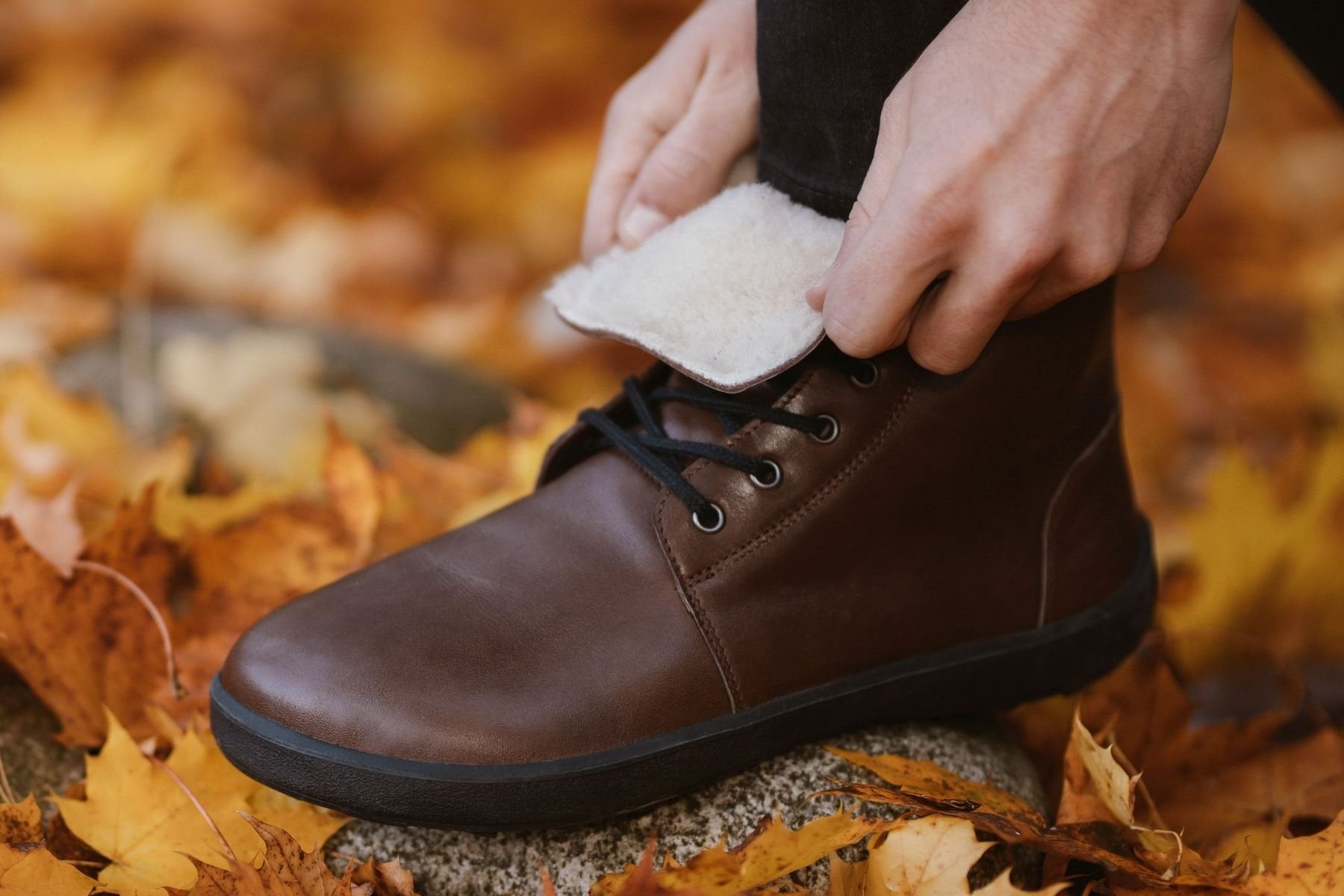 zimne-barefoot-topanky-be-lenka-winter-dark-brown-27264-size-large-v-1