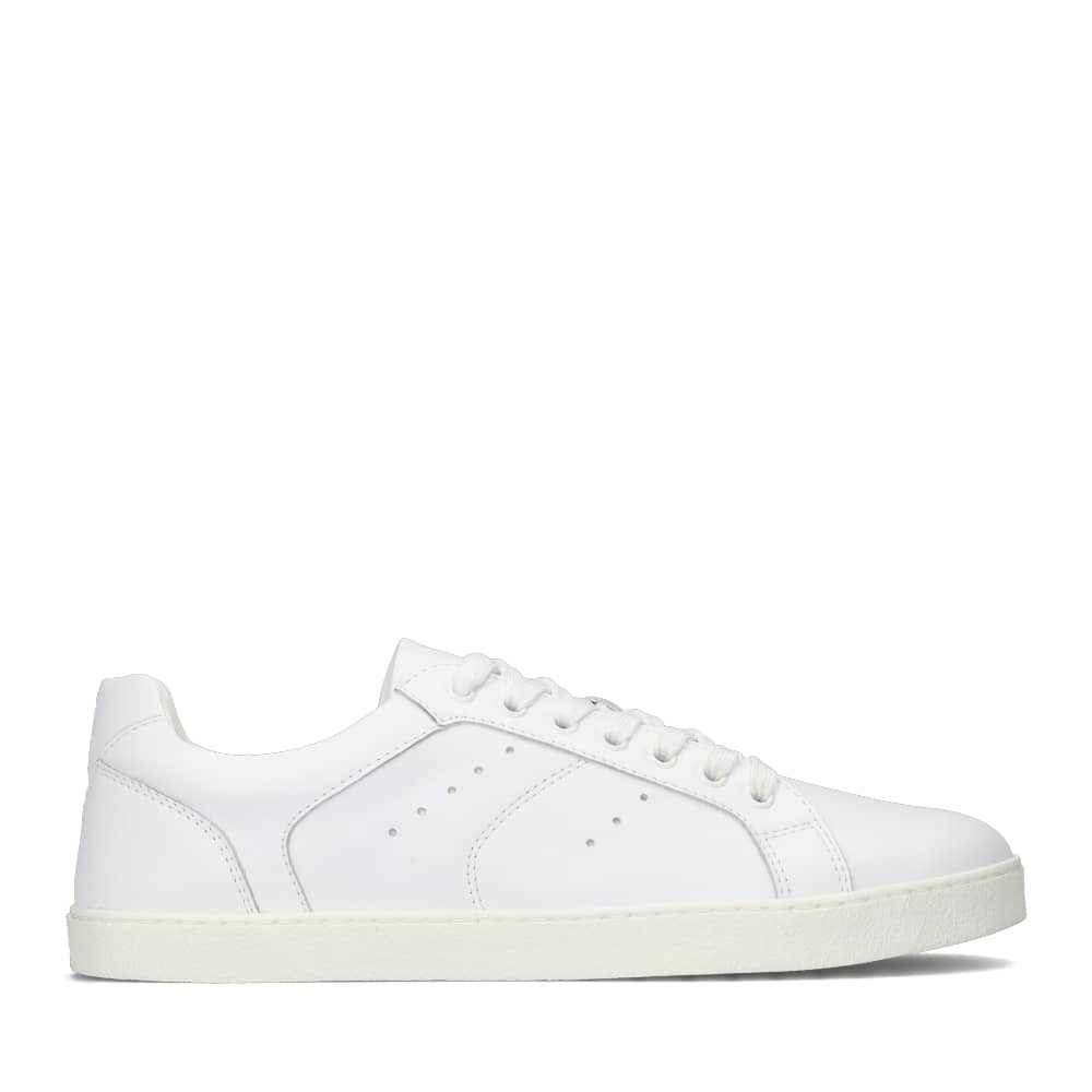 groundies®-universe-pure-women