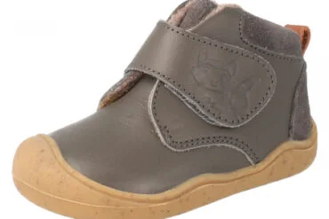 B Lifestyle - BabyRaccoon